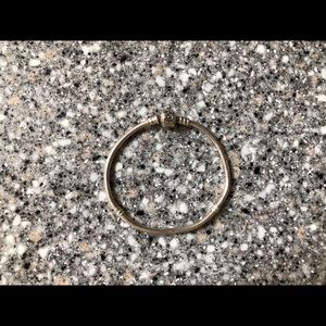 Pandora Iconic Silver Charm Bracelet